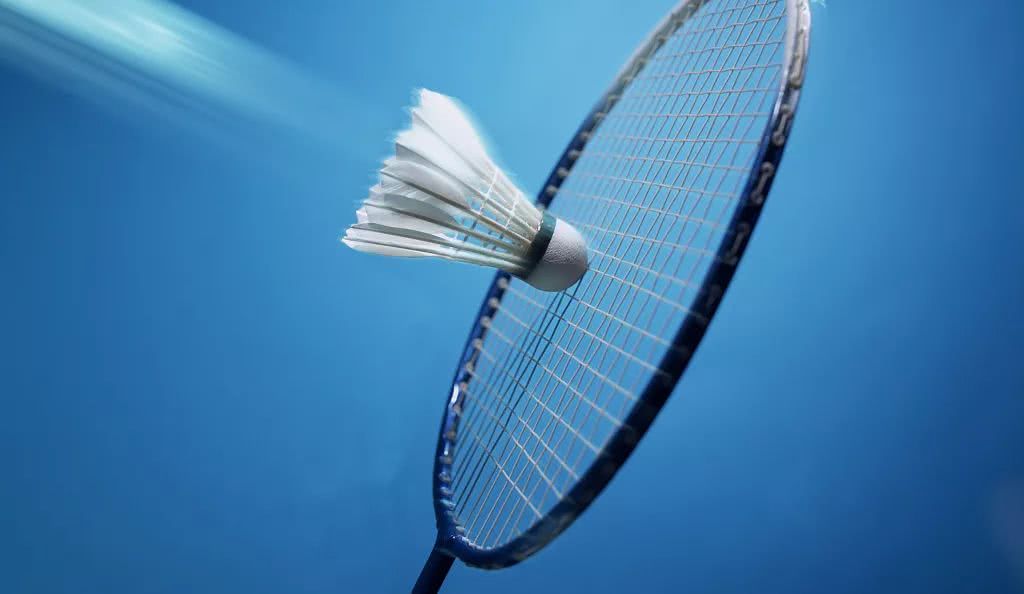 有所下降 有所下降